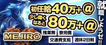 株式会社メジロの男性高収入求人
