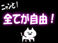 ピンキープリンセスの募集詳細 京都 舞鶴市の風俗男性求人 メンズバニラ ピンキープリンセスの募集詳細 京都 舞鶴市の風俗男性求人 メンズバニラ