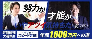 men's relaxation VEGA(メンズリラクゼーション・ベガ)の男性高収入求人