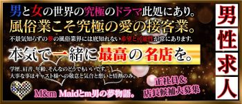 M&m Maidとm男の夢物語。の男性高収入求人