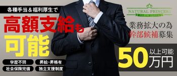 ナチュラルプリンセスの男性高収入求人