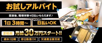 ナチュラルプリンセスの男性高収入求人