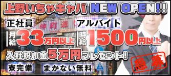 ピンクタイガーの男性高収入求人