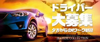 ブロンドコレクションの男性高収入求人