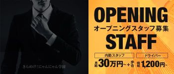 きらめけ!にゃんにゃん学園の男性高収入求人