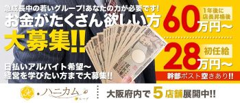 ハニカムグループの男性高収入求人