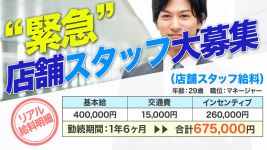 人妻レディプレイスの男性高収入求人