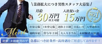 Mintの男性高収入求人