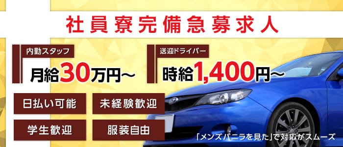 極上美女!の男性高収入求人