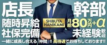 ハニカミの男性高収入求人