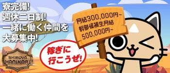 ハニカミの男性高収入求人