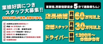 ビタミンHの男性高収入求人