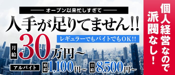 ぽっちゃり!むっちり!愛好会 枚方店の男性高収入求人