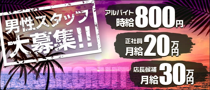 天然素材の男性高収入求人