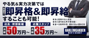 はーれむ学園の男性高収入求人