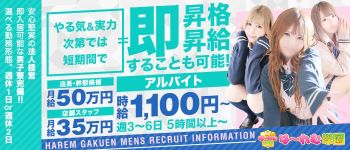はーれむ学園の男性高収入求人