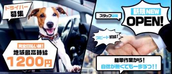QUEENDOM~序章~の男性高収入求人