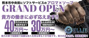 Ellie(エリー)の男性高収入求人