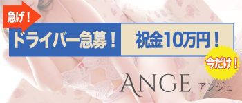 Ange(アンジュ)の男性高収入求人