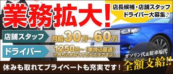 美人の誘惑の男性高収入求人