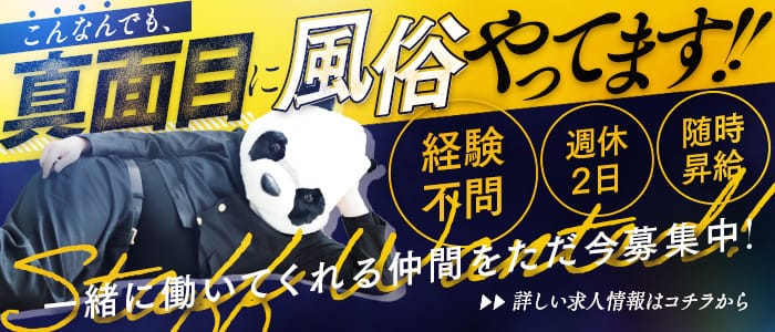 ヴェルファーレ-VELFARRE-鹿児島