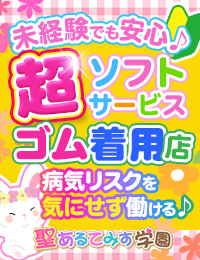 聖あるてみす学園