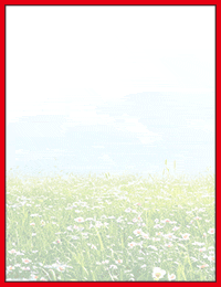 かりゆしOLの秘密