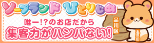 ハピネス東京 五反田店（ﾊﾋﾟﾈｽｸﾞﾙｰﾌﾟ）