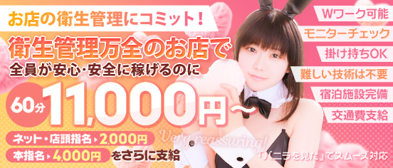 バニーコレクション新潟