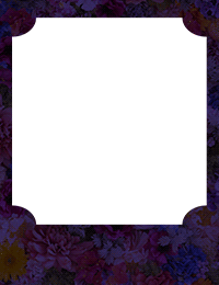 ただ離婚してないだけ