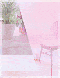 ピンクコレクション大阪店