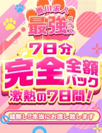 エプロンレディー