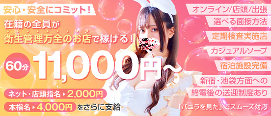 バニーコレクション千葉栄町店