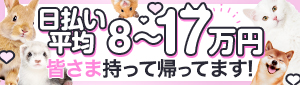 八星