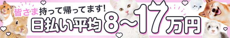 八星