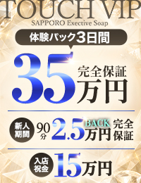 タッチVIP