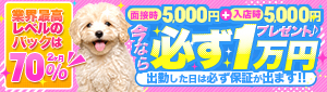 ダック京都