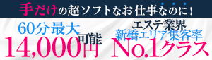 東京エステコレクション