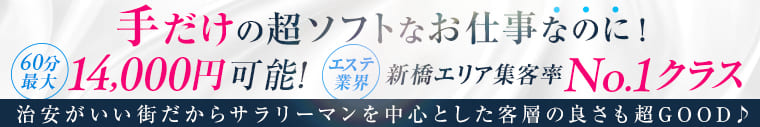 東京エステコレクション