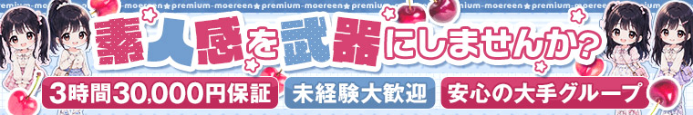 PREMIUM萌えリーン