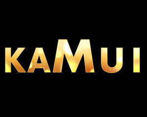 Team KAMUI