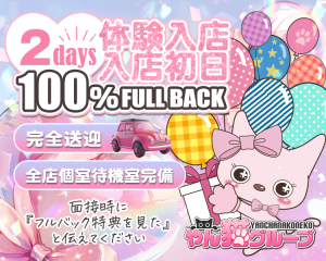 やんちゃな子猫グループ