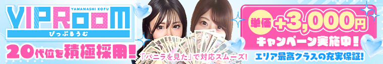 VIP ROOM（ビップルーム）
