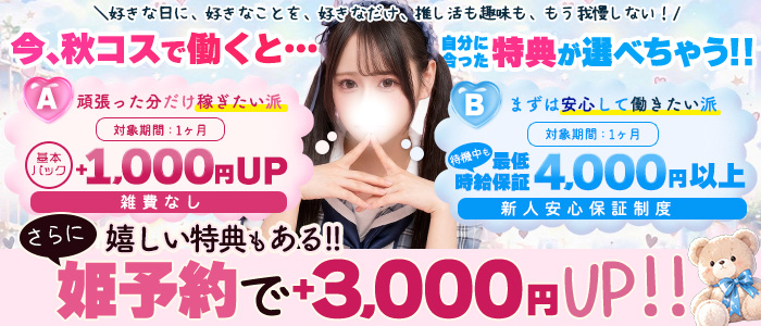 秋葉原コスプレ学園(秋コスグループ)