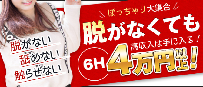 C.C.Cats(シーシーキャッツ)のぽっちゃり求人画像