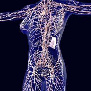 ちゃんと求人ブログですからね！のアイキャッチ画像