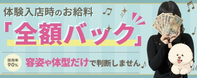 いきなりまかさんかいのぽっちゃり求人画像