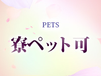 ピュアコス学園で働くメリット1