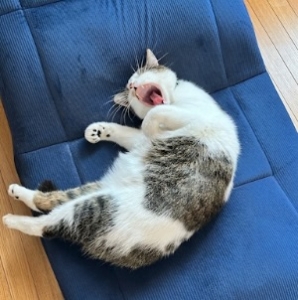 目標のアイキャッチ画像