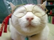 CLASSY.神戸の面接官